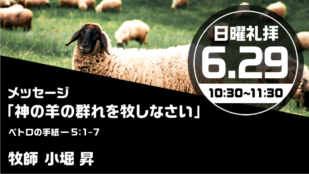 2025年6月29日(日) 日曜朝の礼拝「神の羊の群れを牧しなさい」